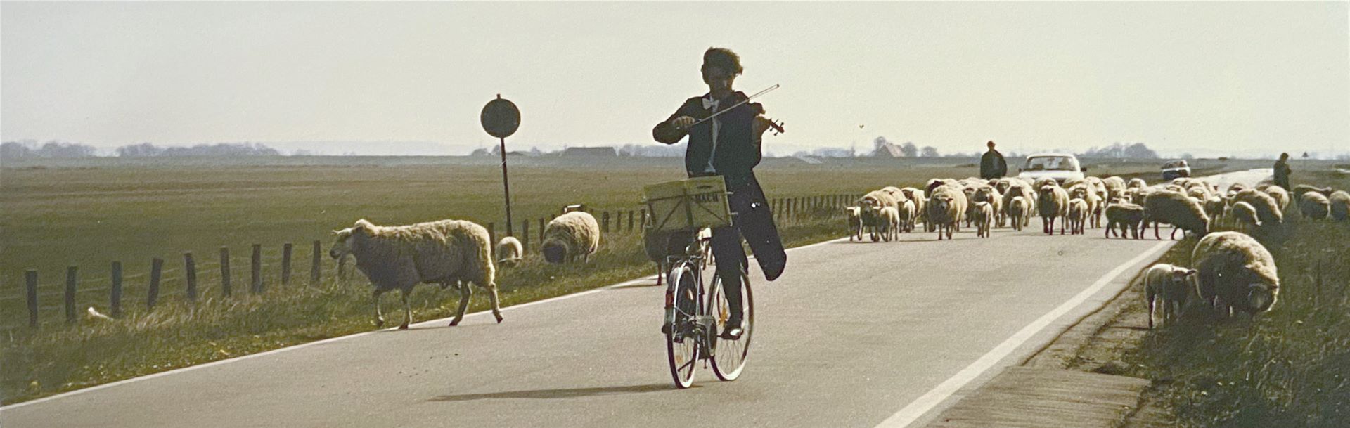 Lustige Weltrekorde im FahrradrückwärtsGeigen 60,45 Km